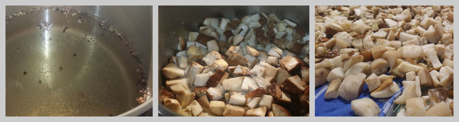 Inter blog Cèpes blanchi