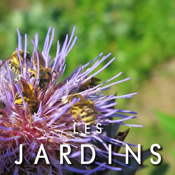 Raconte moi les jardins